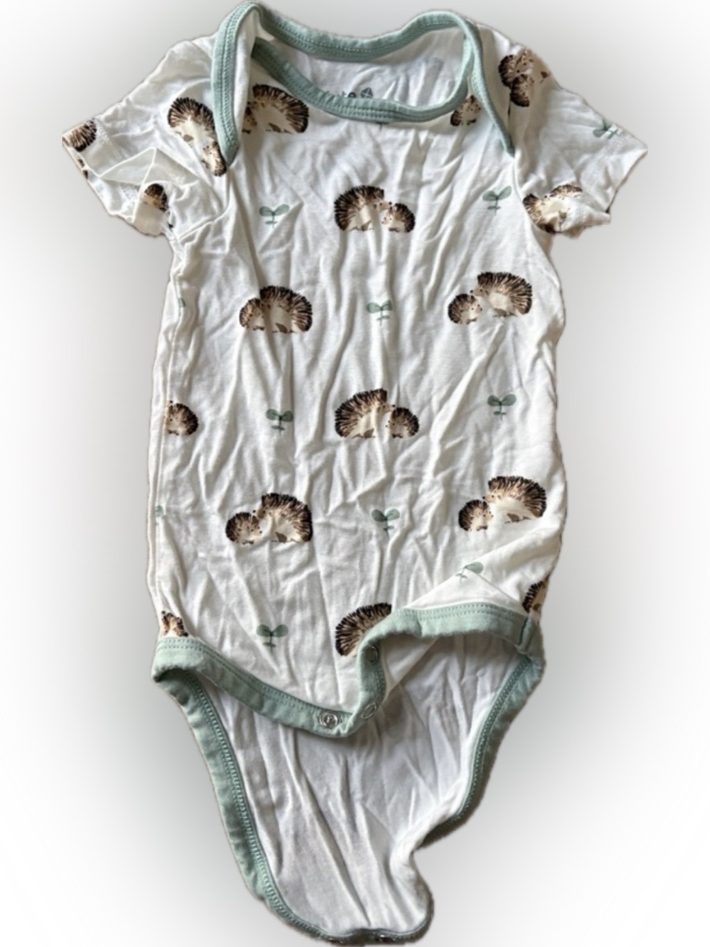 Kyte Baby One-Piece Bodysuit with Porcupine Print - White & Mint